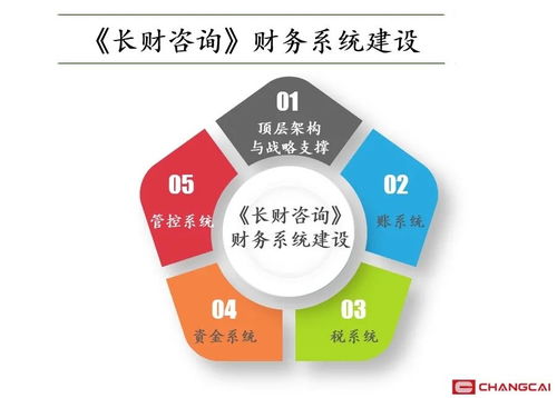 企业人员管理项目咨询 为什么需要请管理咨询公司